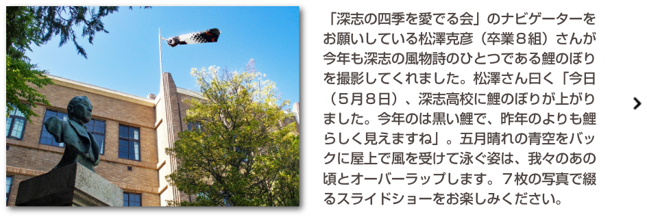 イメージ＆コピー