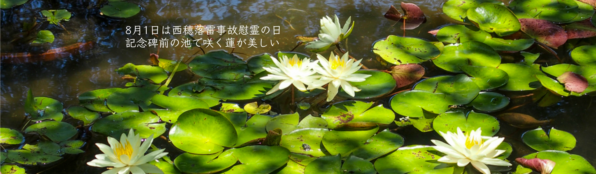 校舎