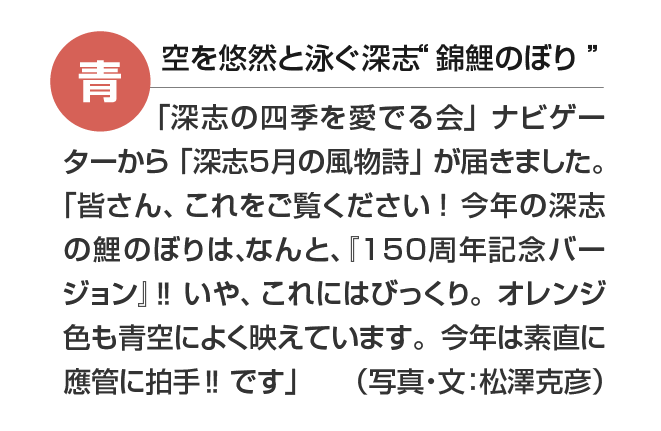 コピー