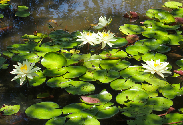 深志高校 校歌 応援歌