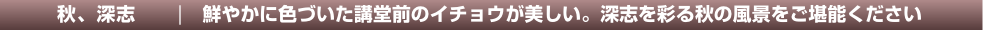 タイトル＆リード